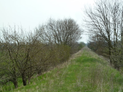 Radweg Prenzlau-Pasewalk