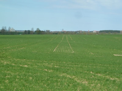 Radweg Prenzlau-Pasewalk_07