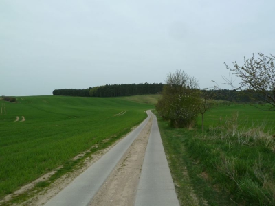 Radweg Stegelitz-Prenzlau_11