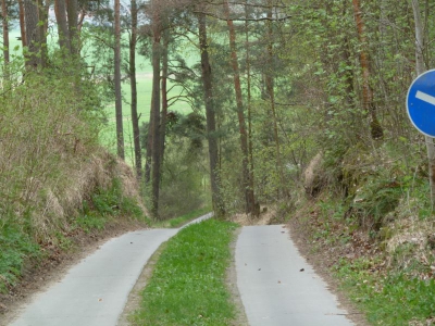 Radweg Stegelitz-Prenzlau_17