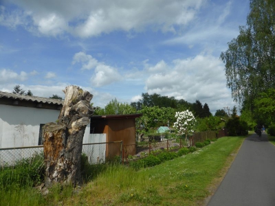 Radweg Finowfurt-Eberswalde 117_08