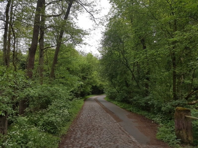 Finowtal-Pregnitzfließ 117_04