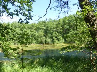 Großer Wukensee 2317