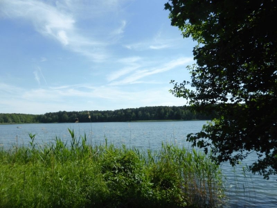 Großer Wukensee 2317_08