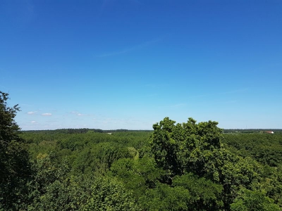 Blick vom Kaiser Friedrich Turm 2417