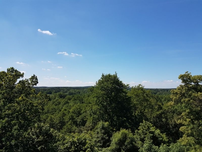 Blick vom Kaiser Friedrich Turm 2417_04