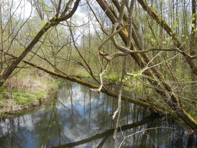 Radweg Biesenthal-Marienwerder