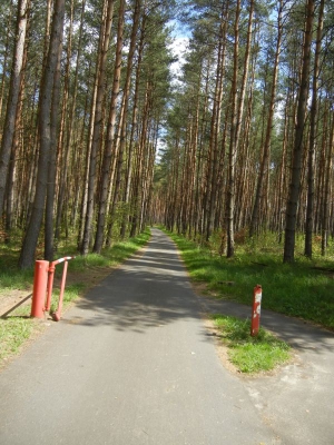 Radweg Biesenthal-Marienwerder_07