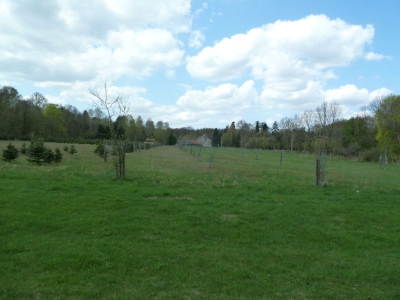 Radweg Biesenthal-Marienwerder_13