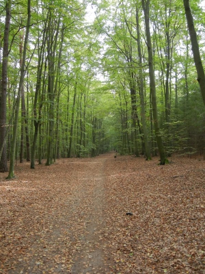 Liepnitzsee Wandlitz