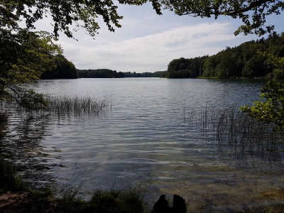 Liepnitzsee 2717~02