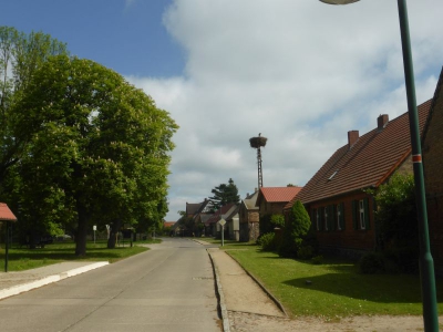 Brodowin 217_03