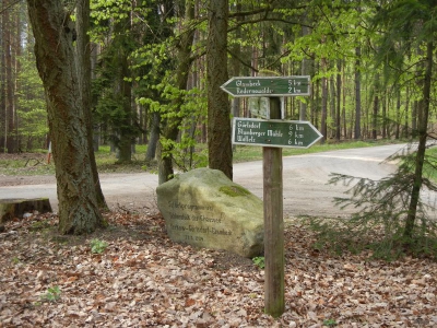 Radweg Glambeck-Stegelitz_02