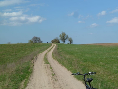 Radweg Glambeck-Stegelitz_04