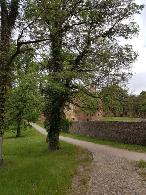 Kloster Chorin 217_08