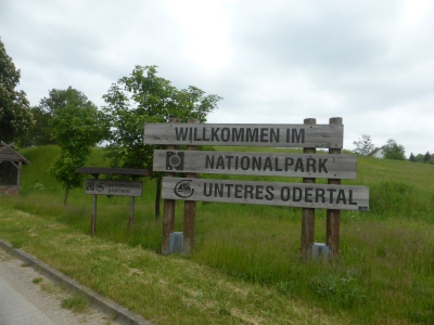 Nationalpark Unteres Odertal 217_05