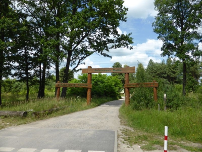 Schönower Heide bei Bernau 2714_03