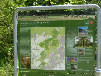 Schönower Heide bei Bernau 2714_05