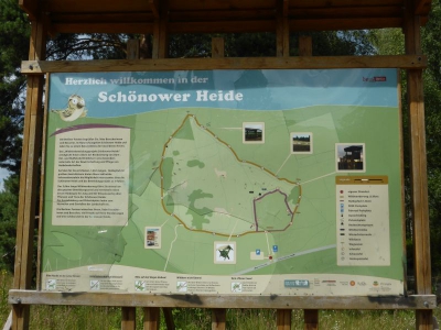 Schönower Heide bei Bernau 2714_06