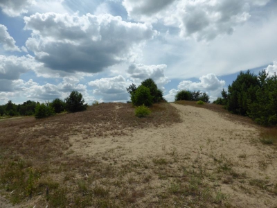 Schönower Heide bei Bernau 2714_10