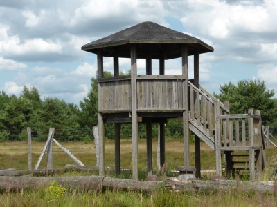 Schönower Heide bei Bernau 2714_20