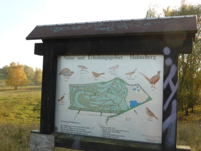 Natur- und Erholungsgebiet Hahneberg Staaken Berlin 4415_05
