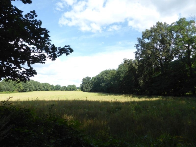 Gatower Heide 3117