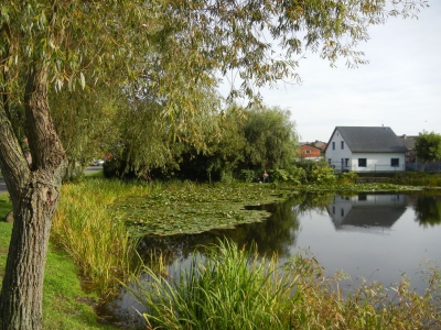 Dorfteich Heckelberg