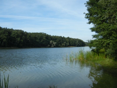 Gamensee bei Tiefensee_04