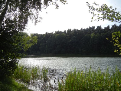 Gamensee bei Tiefensee_05