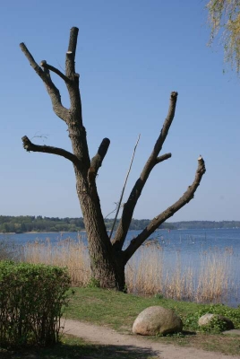 !Waren_04