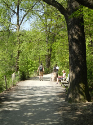 Schlachtensee Berlin Zehlendorf_13