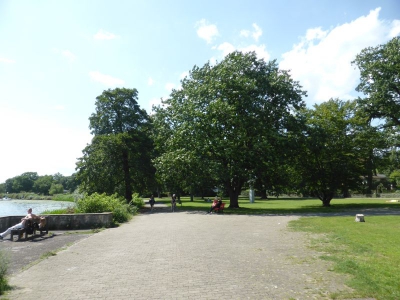 Pichelsdorf 3017_10
