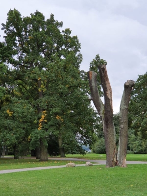 Kulturpark Neubrandenburg 4120_16
