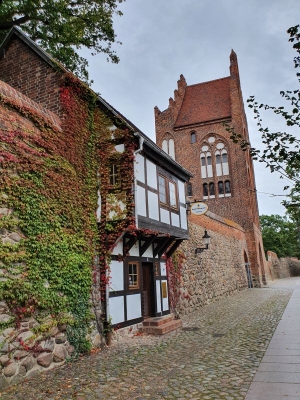 Stadtmauer Neubrandenburg 4120_11