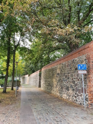 Stadtmauer Neubrandenburg 4120_13