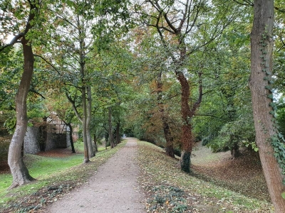 Stadtmauer Neubrandenburg 4120_14