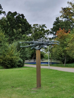 Tollensesee 4120_06