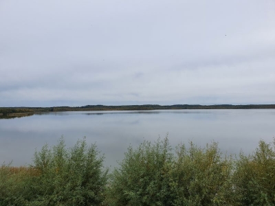 Zierker See 4120_02