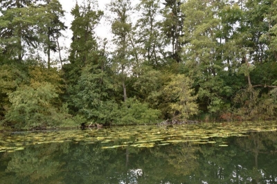 Lütten See 4120