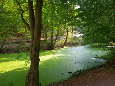 Drachenschlucht Eisenach 3618_02