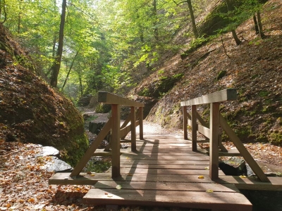 Drachenschlucht Eisenach 3618_04