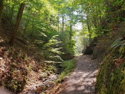 Drachenschlucht Eisenach 3618_06