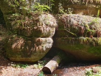 Drachenschlucht Eisenach 3618_07