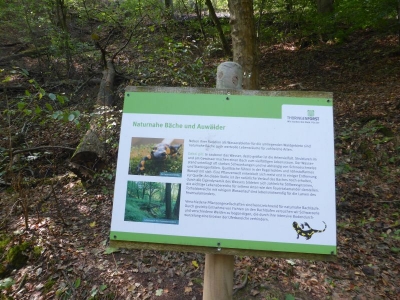Drachenschlucht Eisenach 3618_09