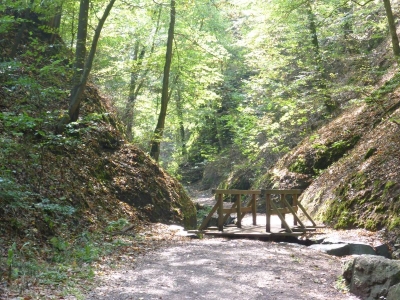 Drachenschlucht Eisenach 3618_12
