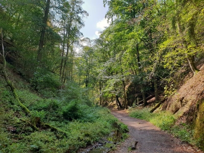 Drachenschlucht Eisenach 3618_13