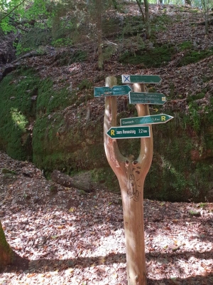 Drachenschlucht Eisenach 3618_14