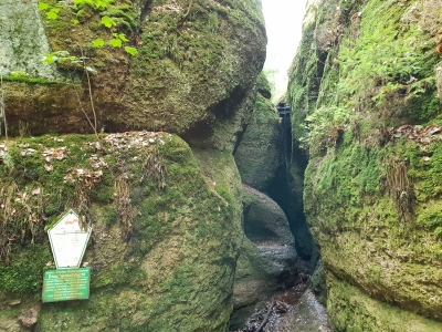 Drachenschlucht Eisenach 3618_16
