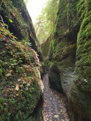 Drachenschlucht Eisenach 3618_18